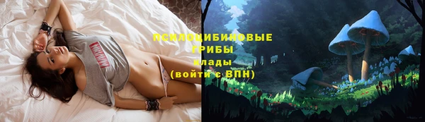 марки nbome Карпинск