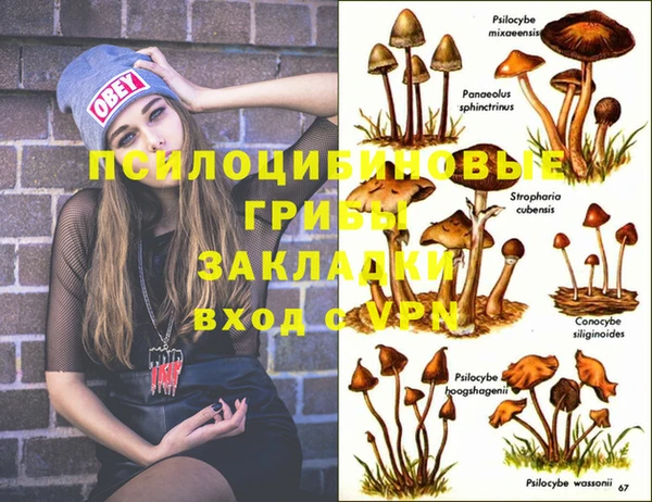 круглые Касимов