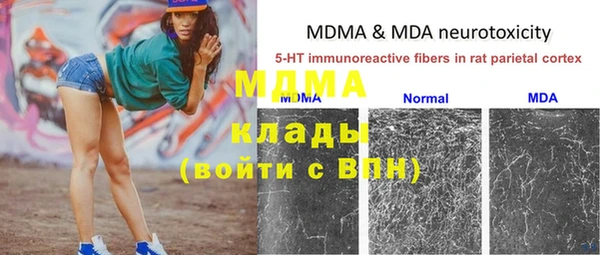 ГАЛЛЮЦИНОГЕННЫЕ ГРИБЫ Карталы