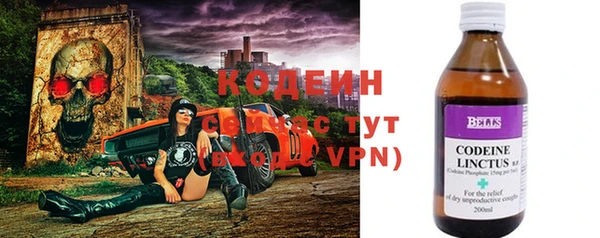ГАЛЛЮЦИНОГЕННЫЕ ГРИБЫ Карталы