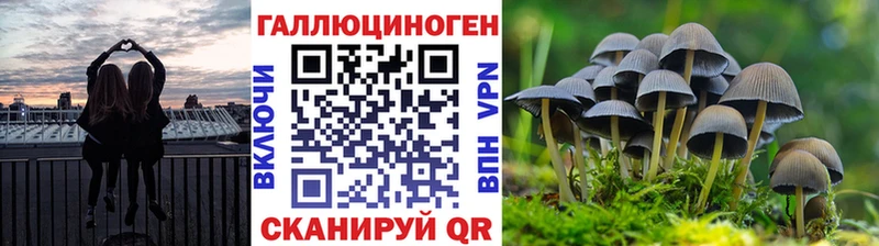 Псилоцибиновые грибы прущие грибы  Чегем 
